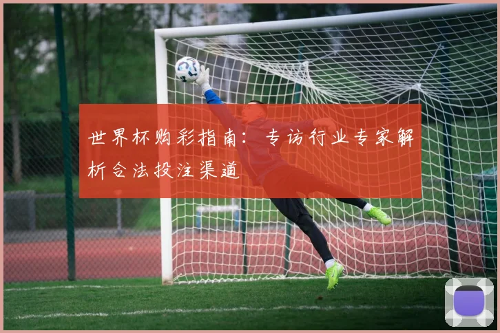 世界杯购彩指南：专访行业专家解析合法投注渠道