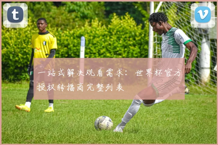一站式解决观看需求:世界杯官方授权转播商完整列表