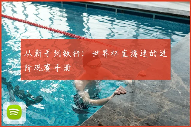从新手到铁杆：世界杯直播迷的进阶观赛手册