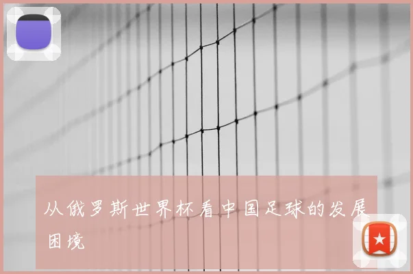 从俄罗斯世界杯看中国足球的发展困境