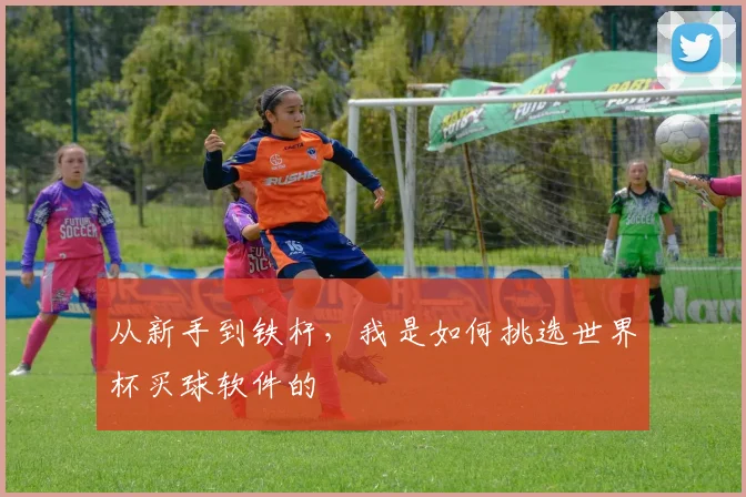 从新手到铁杆，我是如何挑选世界杯买球软件的