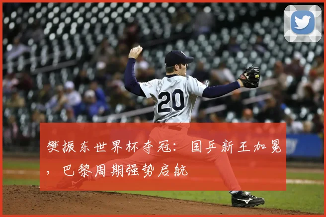 樊振东世界杯夺冠：国乒新王加冕，巴黎周期强势启航