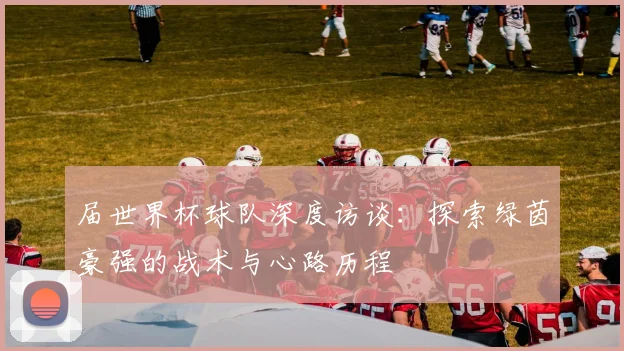 届世界杯球队深度访谈:探索绿茵豪强的战术与心路历程