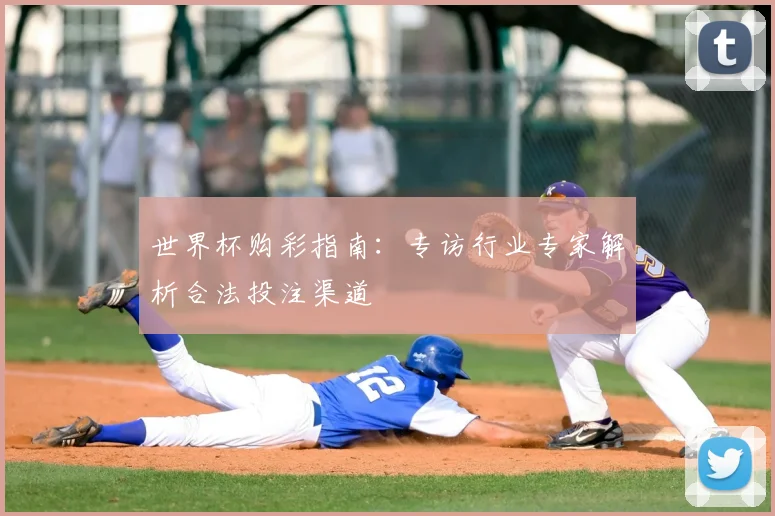 世界杯购彩指南：专访行业专家解析合法投注渠道