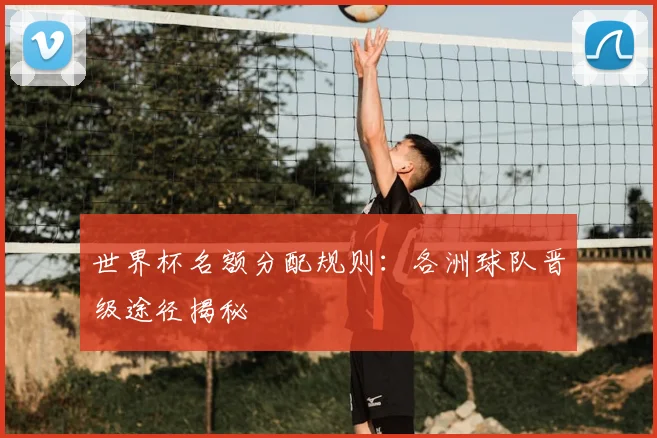 世界杯名额分配规则：各洲球队晋级途径揭秘