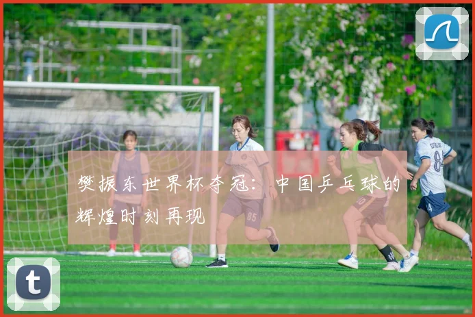 樊振东世界杯夺冠：中国乒乓球的辉煌时刻再现
