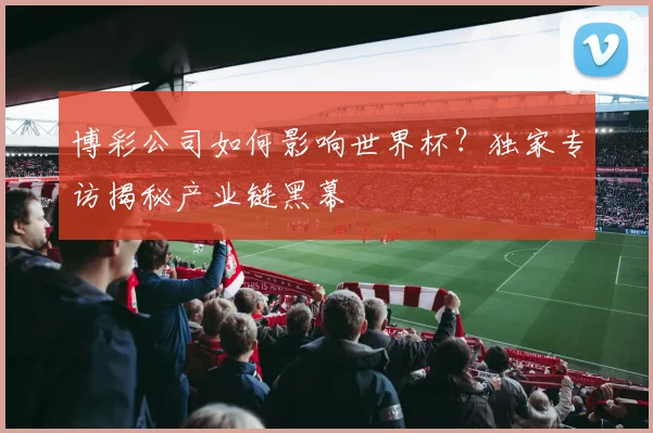 博彩公司如何影响世界杯？独家专访揭秘产业链黑幕