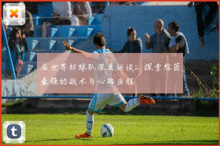 届世界杯球队深度访谈:探索绿茵豪强的战术与心路历程