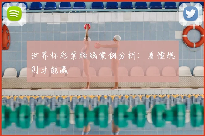 世界杯彩票赔钱案例分析：看懂规则才能赢