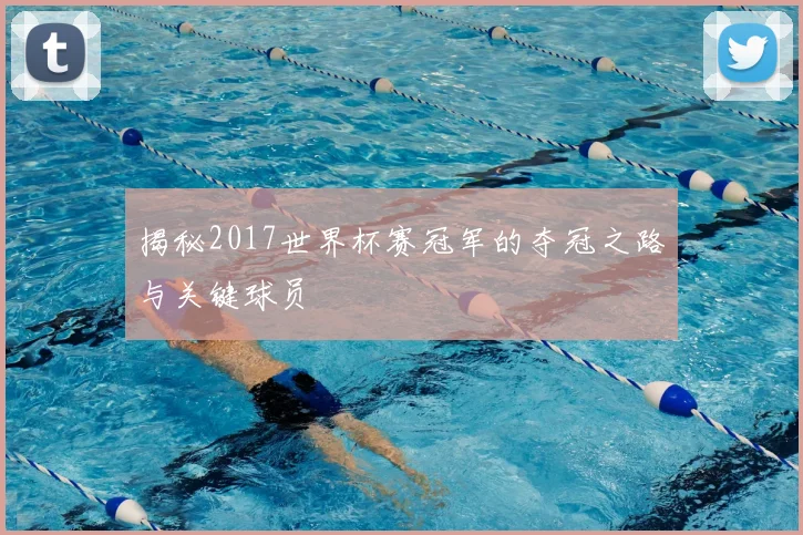 揭秘2017世界杯赛冠军的夺冠之路与关键球员