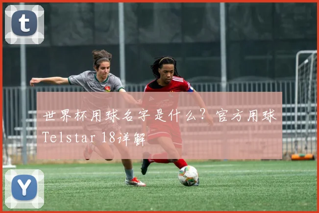 世界杯用球名字是什么?官方用球Telstar 18详解