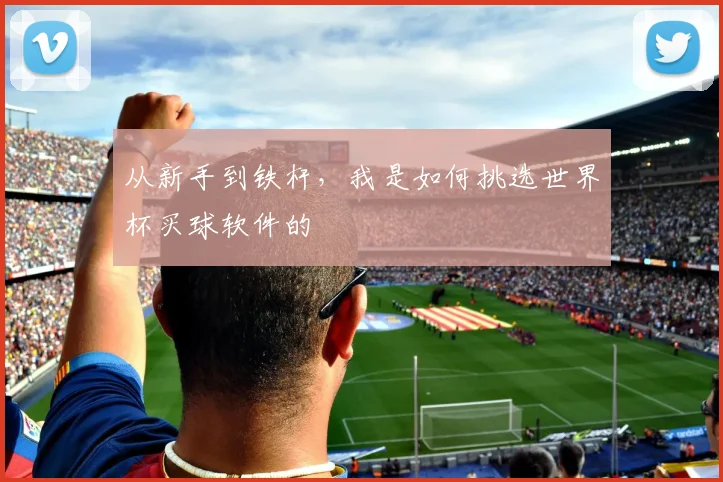 从新手到铁杆,我是如何挑选世界杯买球软件的