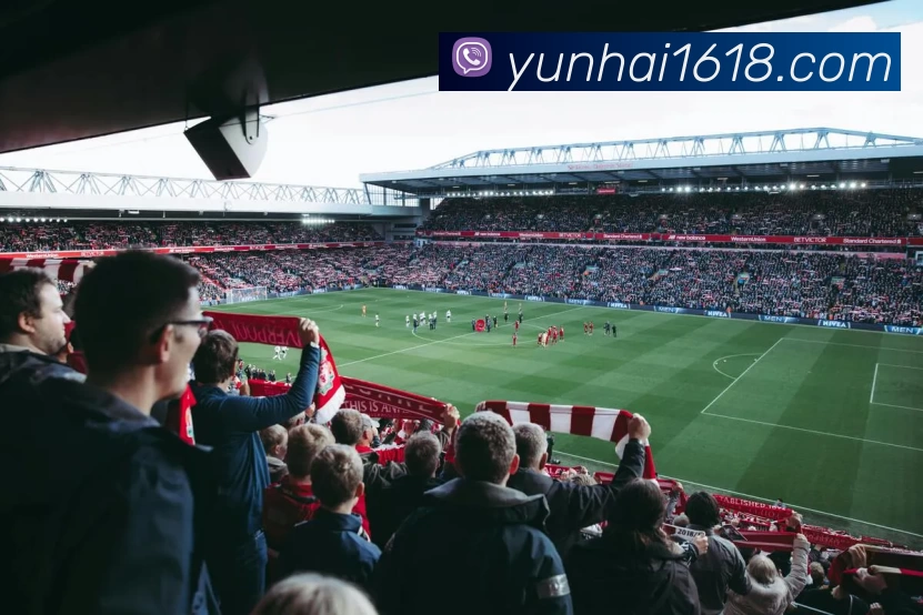 球盟会平台生态图