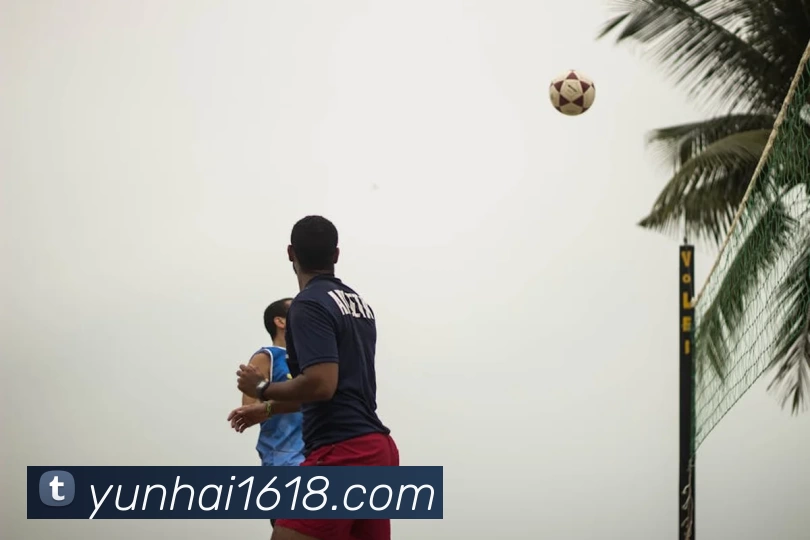 球盟会APP 封面图